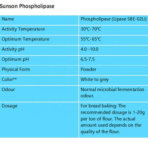Enzyme phospholipase bột phospholipase để thay thế chất nhũ hóa bánh mì, cải thiện khả năng xử lý bột và ổn định - Product Image 2