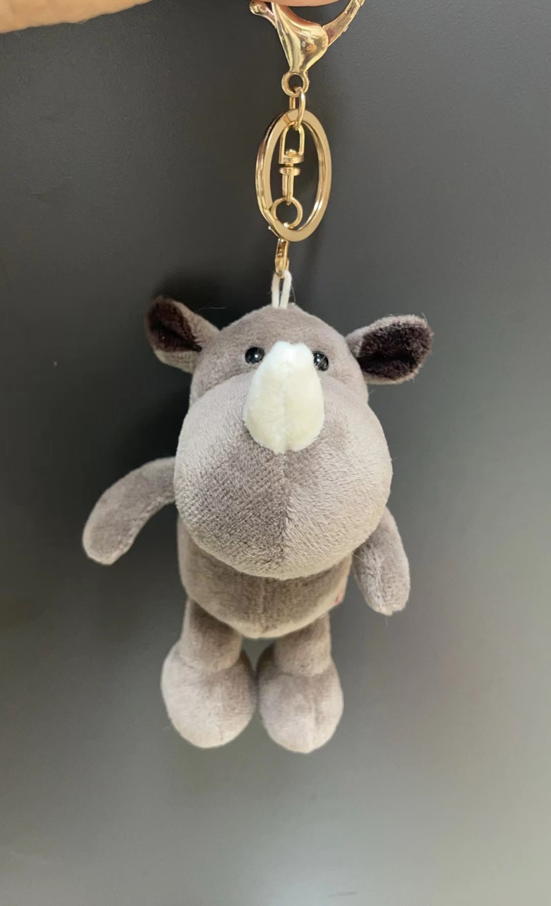 rhinocéros