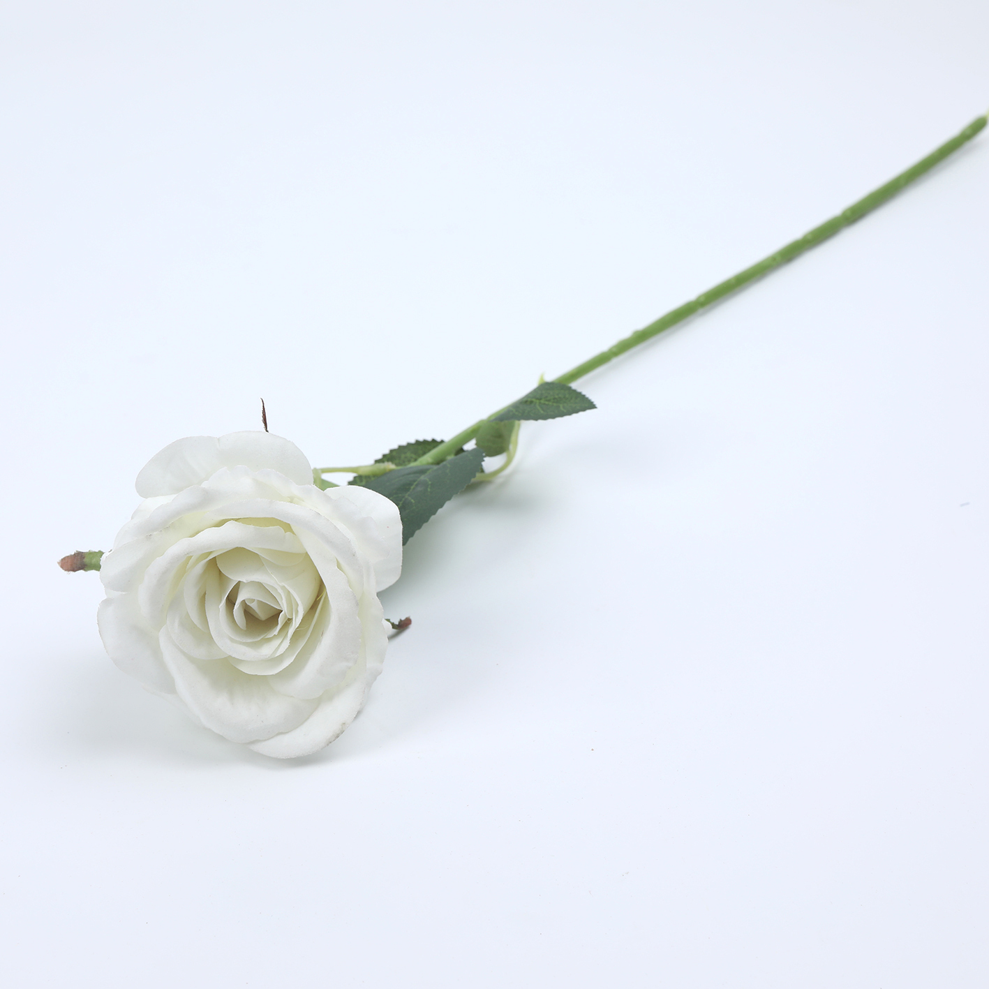 Blanc