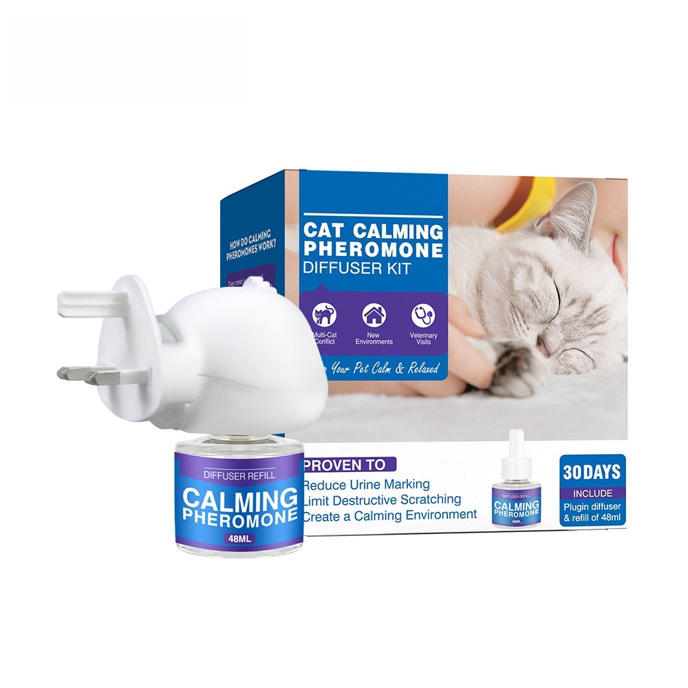 Chat bleu (1+1 norme britannique)