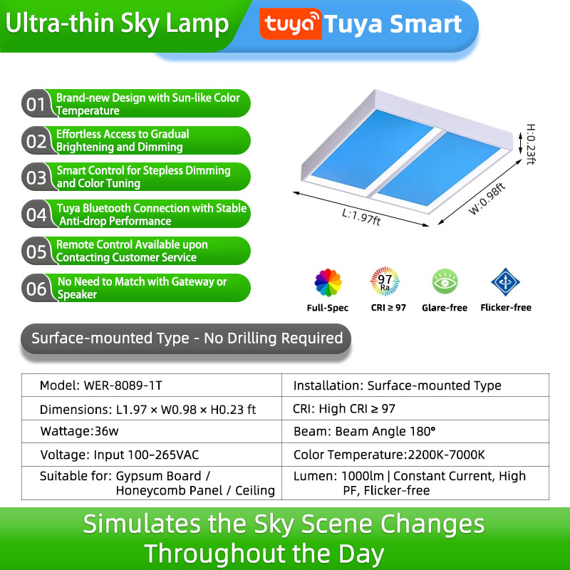 Modelo de dos rejillas de 1,97 pies de largo - graffiti - instalación expuesta