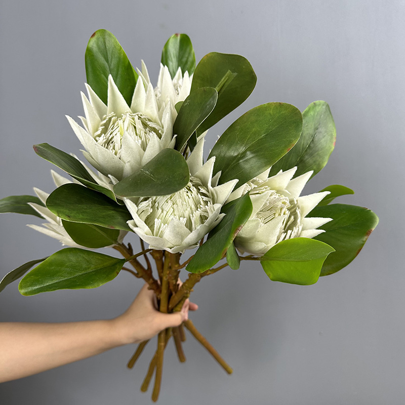 Small size White