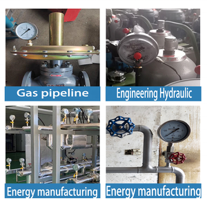Cnjs 100 मिमी 304s 316lss स्टेनलेस स्टील दबाव गेज मोटर वाहन मरम्मत हीटिंग सिस्टम के लिए पुरुष थ्रेड कनेक्शन - Product Image 5