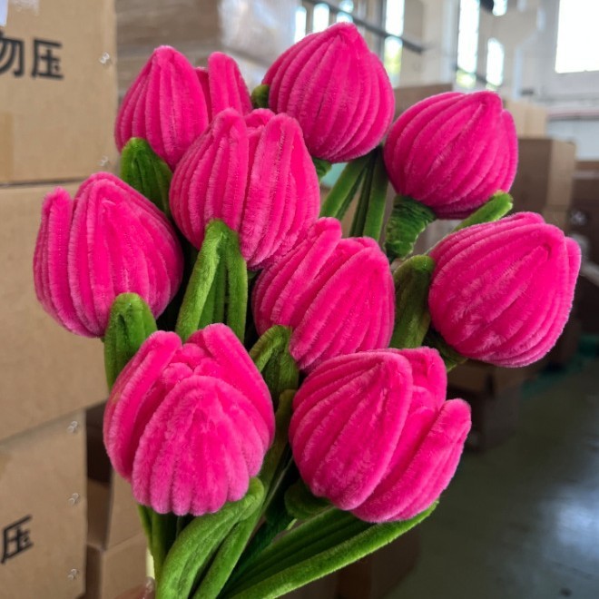 Fucsia