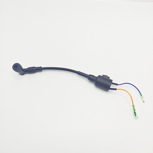 新型高性能ユニバーサル点火コイルセットParsun 2HP船外エンジンガソリン燃料タイプ - Product Image 1