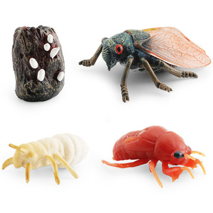 HY <strong>Toys</strong> Simulation Mini Insect Set Grasshopper Spider Growth Cycle Life Stage Cognitive Static Model <strong>Toy</strong> - Product Image 2