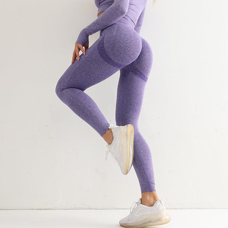 509 Purple