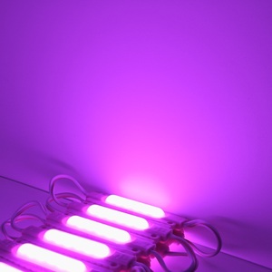 PINK <strong>LED</strong> Module Injection PVC IP65 Opaque Lens Capsule Backlight Blister Character 6leds Advertising 12V 2W SMD 5730 <strong>Led</strong> Module - Product Image 6
