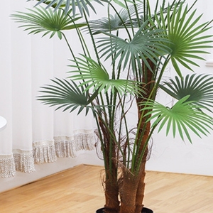 2025ロングスター人工緑植物ポット付きビッグサイズ0.6mヤシの木家庭用および屋外用新PVC素材グリーンプラント - Product Image 5