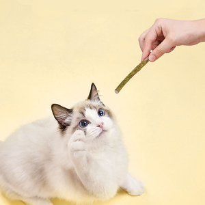 Umweltfreundlicher Natürlicher Katzen-Gallenfrucht- und Katzenminze-Zahnpflegestick Kätzchen-Minz-Zahnreinigungsstick Katzen-Kauspielzeug - Product Image 2