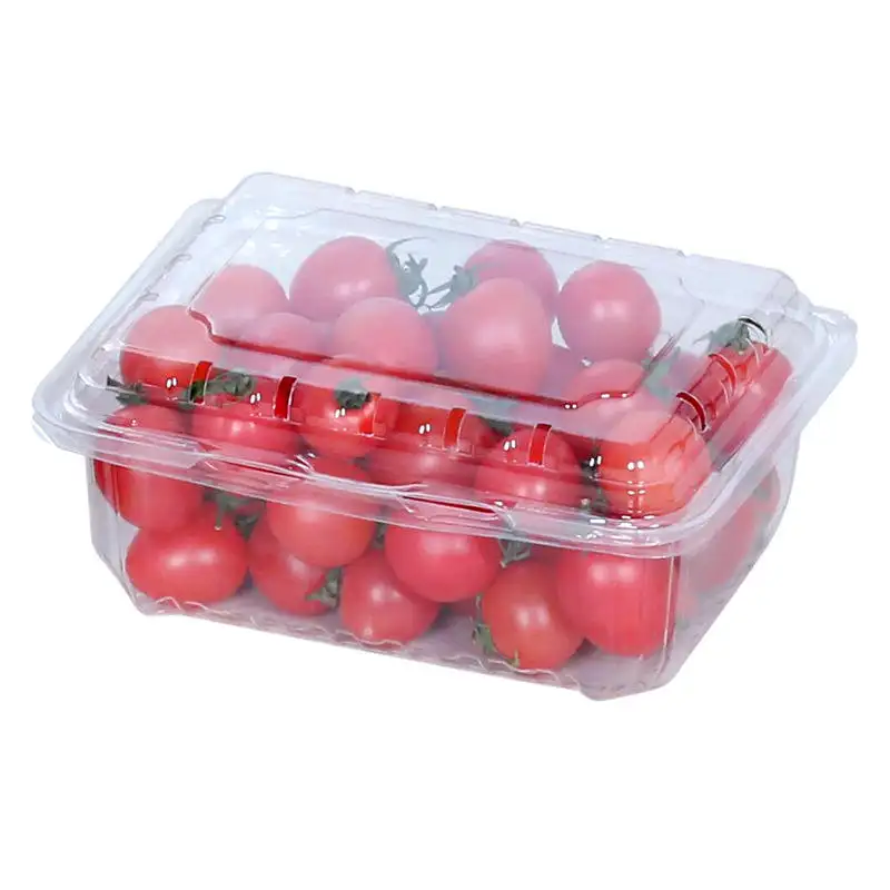 Buena calidad PET desechable blister comida caja de fruta de plástico transparente con tapa delicatessen PET chino comida rápida desechable