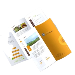 小册子印刷折叠传单印刷和专业目录三折传单印刷小册子价格便宜 - Product Image 2