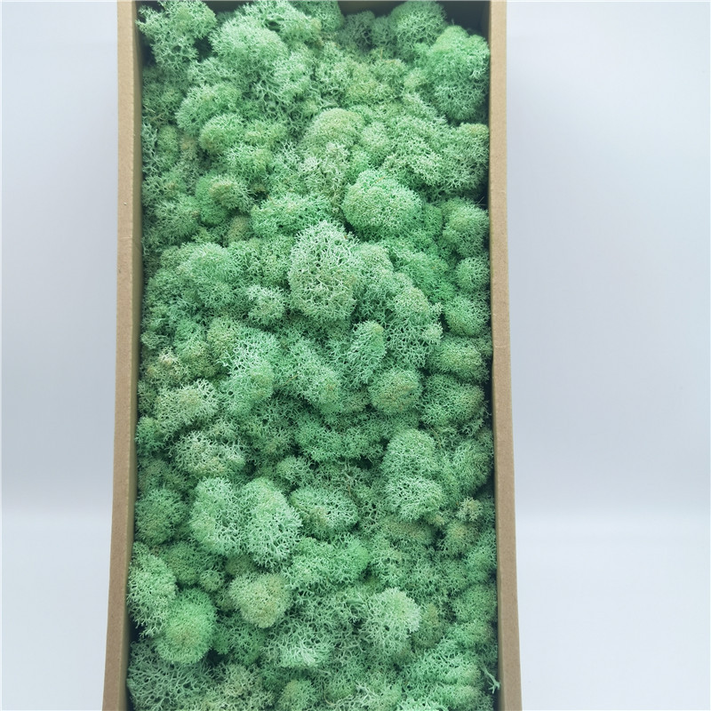L06 verde verdastro-100g