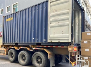 עולם חי חרקים אבני בניין חלקיקים קטנים ילדים חינוכיים צעצועי דבורה קטנה חילזון פאזל בלוקים