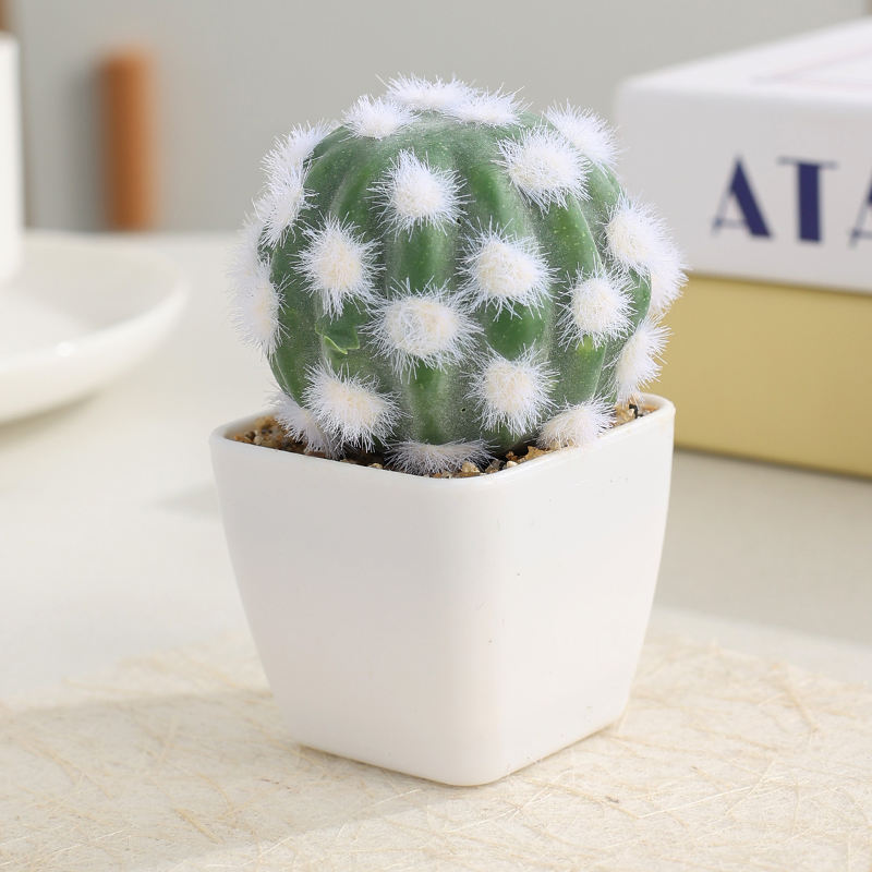Cactus de punto blanco