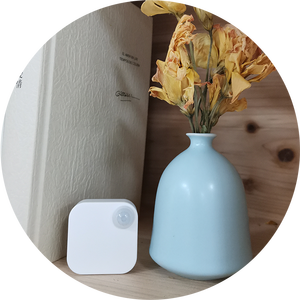 Inalámbrica bluetooth sensor pasivo de infrarrojos pir sensor de módulo de sensor de movimiento faro apoyo ble5.0 - Product Image 4