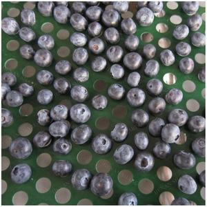 Automatisierung Citrus Fruit Blueberry Grading Sortiermaschine Fruit Grading Size Blueberry Orange Fruit <span class=keywords><strong>Sorting</strong></span> <span class=keywords><strong>Sorting</strong></span> Line