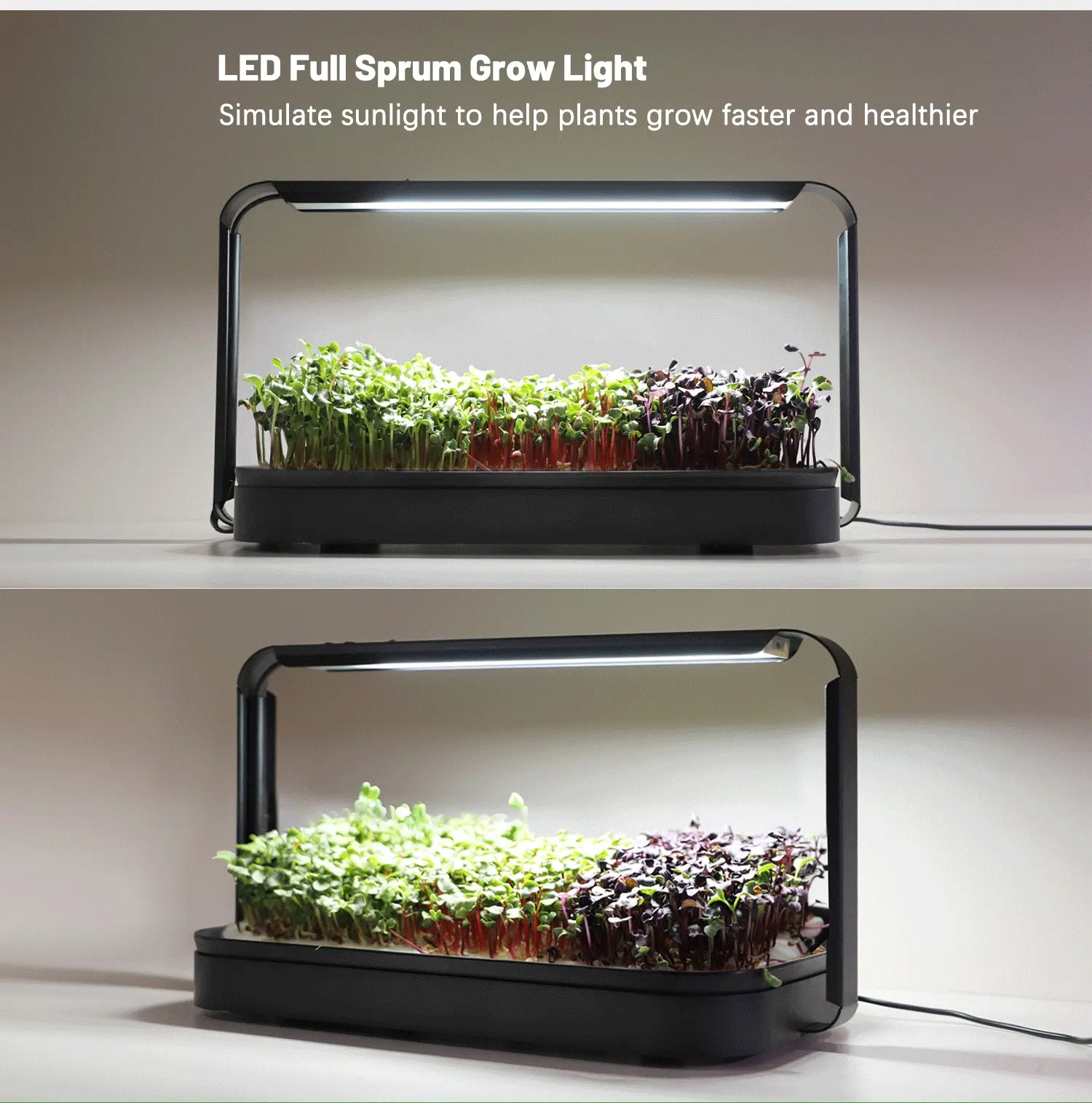 Hidroponia planta crescer sistema crescente jardim erva jardim crescer luz hidropônico interior erva jardim kit inteligente microgreen kit