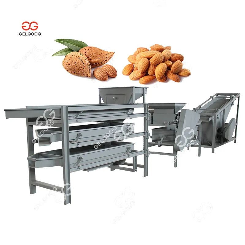 Lfm Acier Inoxydable Noisettes Noix De Palmiste Et Shell Décortiqueur Séparateur Machine Palm Seed Cracker Machine