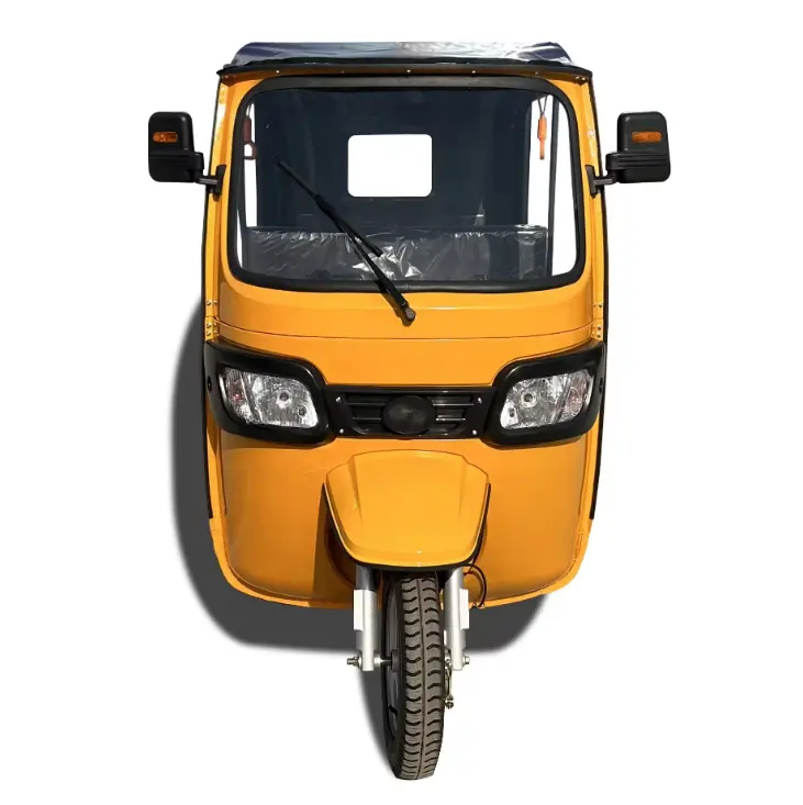 Style Electric Tuktuk 3 Wheel Electric Motorcycle Three Wheeled electric tricycles