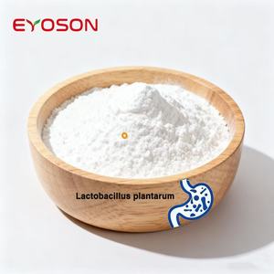 Nhà máy cung cấp Lactobacillus acidophilus Men vi sinh Enzyme Chất lượng cao nguyên liệu Men vi sinh bột với số lượng lớn giá cả tuyệt vời - Product Image 1