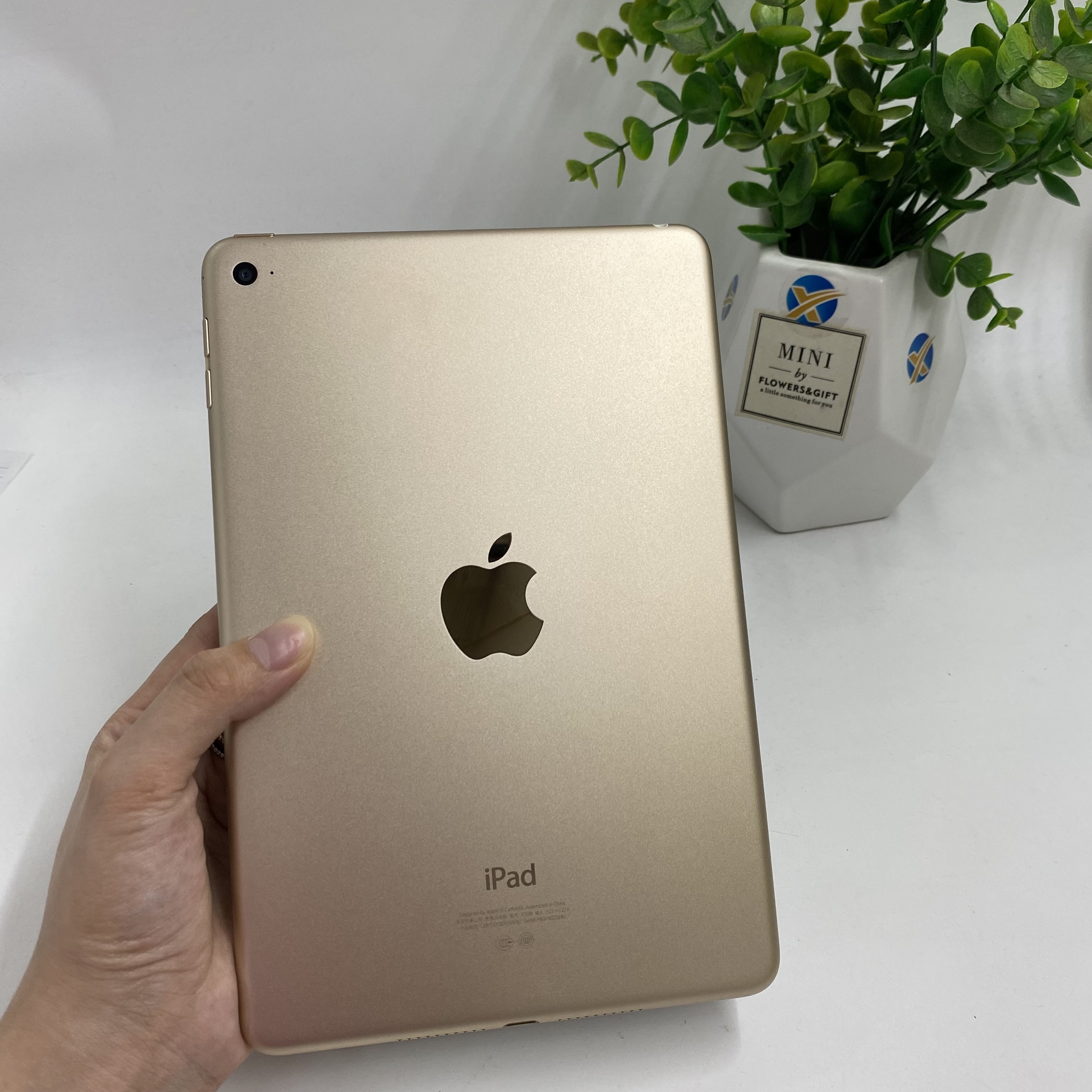 iPad mini 4