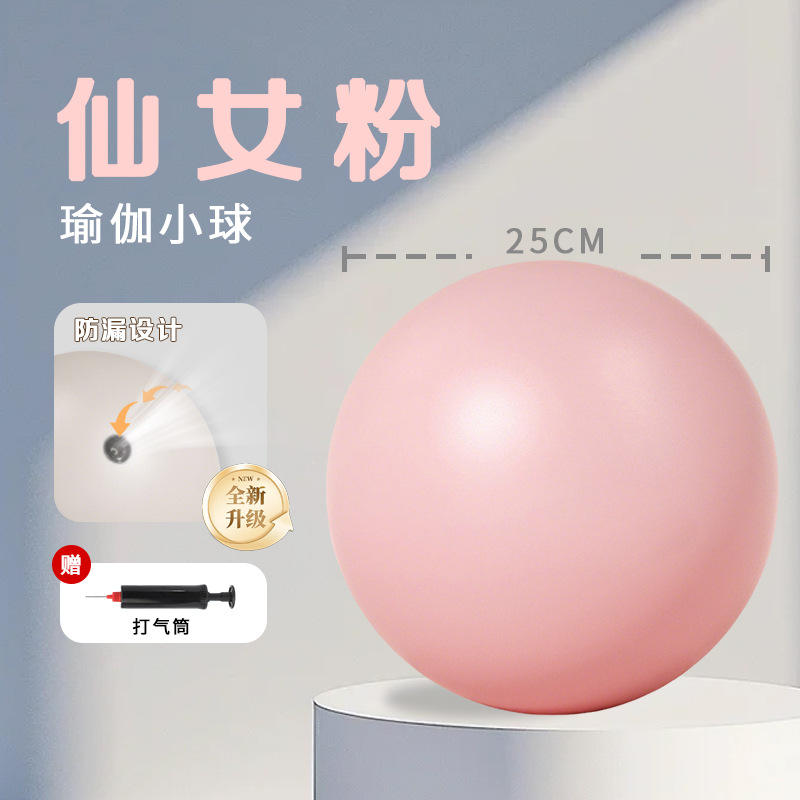 Upgrade 25cm fairy powder, pilates video with pump