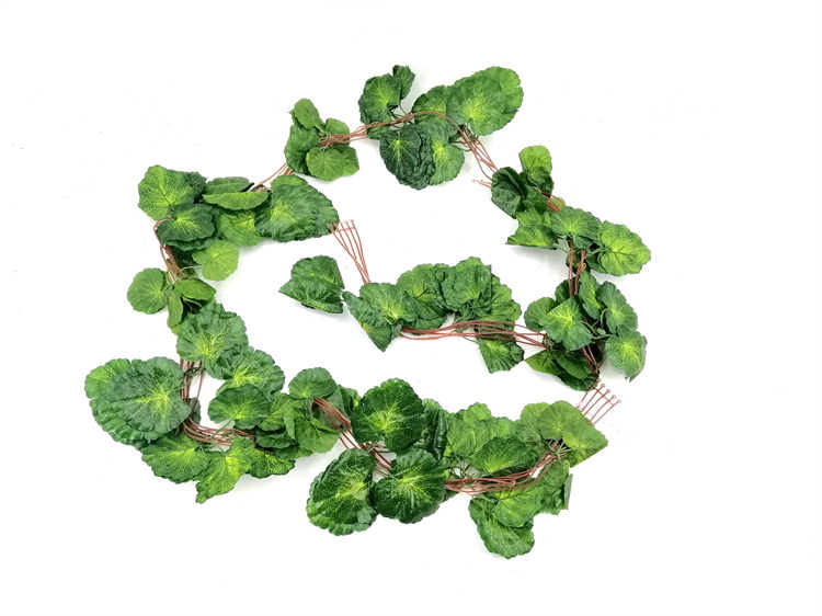 LV09 verde