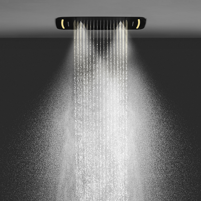 shower head