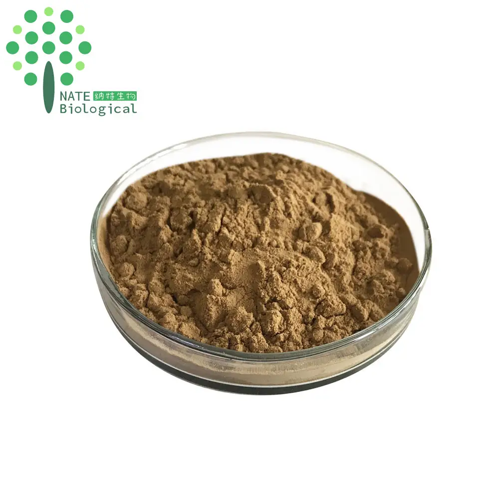 Natural Phellinus igniarius Alcohol extract powder Polysaccharide Triterpene