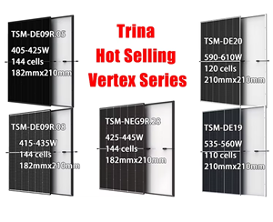 Trina Vertex 650-670W太阳能电池板TSM-DE21背板单晶模块，具有质量保证协议 - Product Image 4