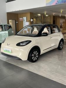アルジェリアVoiture 2025最新バージョンWuling Bingo 204km Wuling Bingooミニ電気自動車大人用新品 - Product Image 5