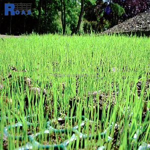 ตาข่ายพลาสติกแข็งแบบแบนตาข่าย HDPE geonet แบบเรียบสไตล์การออกแบบอุตสาหกรรม - Product Image 2