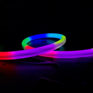 D16 DC24V IP67 Digital <strong>Led</strong> Neon Strip 270 Degree Luminous RGB Magic Light Effect Color Gradient Flexible Silicone Neon Light - Product Image 1