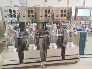 Fermentatore bioreattore magnetico agitazione contenitore serbatoi di fermentazione per laboratorio 5L