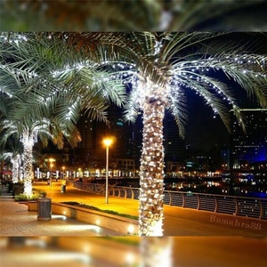 Bright <strong>Palm</strong> <strong>Tree</strong> Decoration Waterproof Ip65 Rice Shape <strong>Cluster</strong> Outdoor Led String Lights Garden - Product Image 2