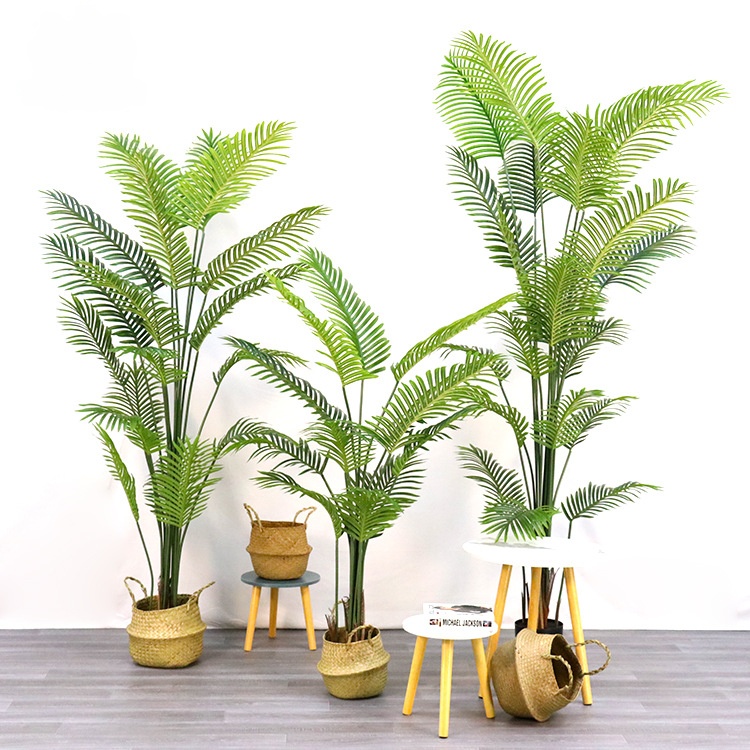 Palmier Areca vert#2