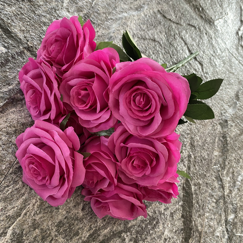 Rosa brillante