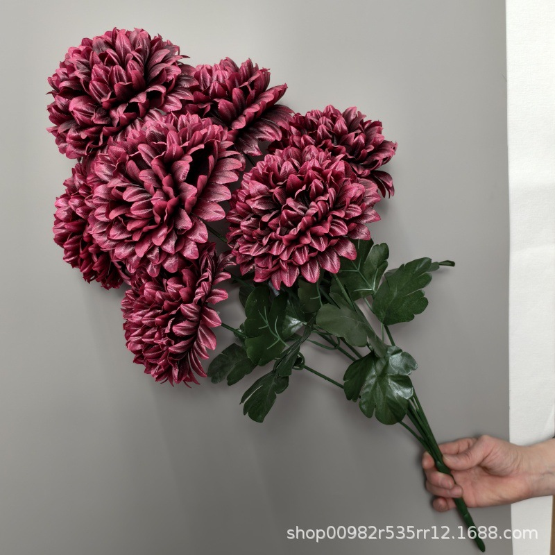 Chrysanthèmes cerises-boule