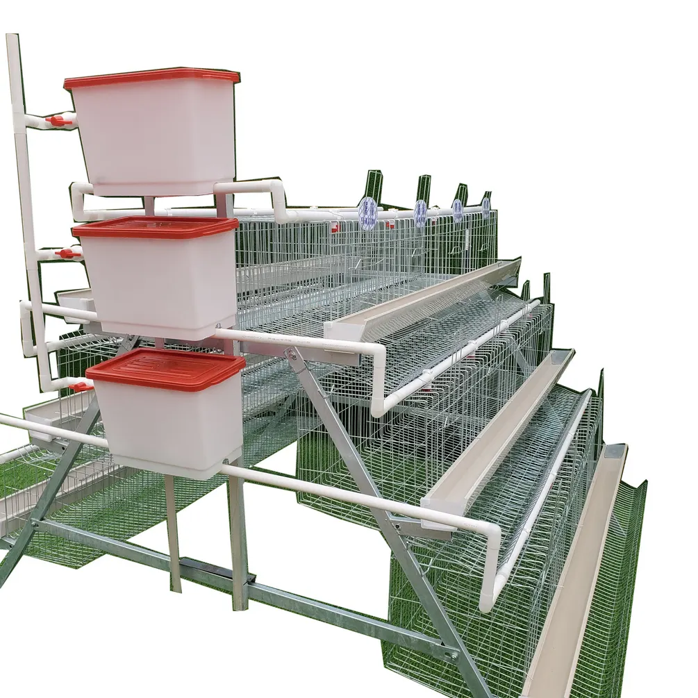 Élevage de volaille 500 couche automatique pour élevage de volaille, cage de type A pour élevage de volaille
