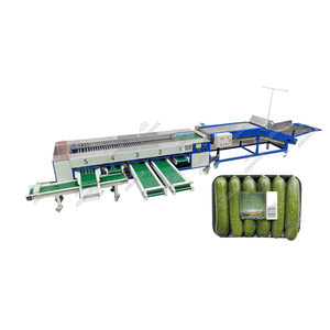 Minimáquina de clasificación de pepino, máquina de clasificación de tamaño de fruta y pepino - Product Image 3