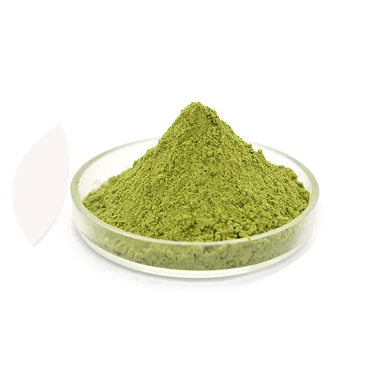 Wholesale Price Pure Organic Kale Juice Powder Kale extract Powder