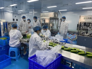 Factory Wholesale Customized Private Labels Non-irritating <strong>Hand</strong> Wash Natural Plant Ingredients Deep Cleaning <strong>Hand</strong> Sanitizer <strong>Gel</strong> - Product Image 4