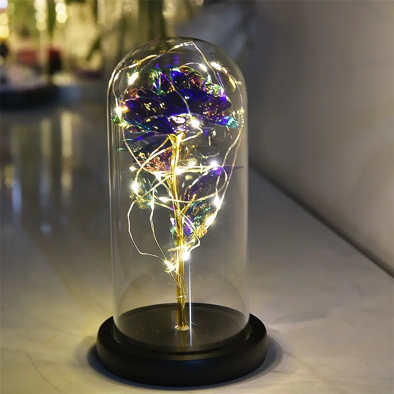 2024 Popular decoration Gifts Gold Foil Rose glass cover Galaxy Rose in Glass Flowers With lights glass geodesic dome