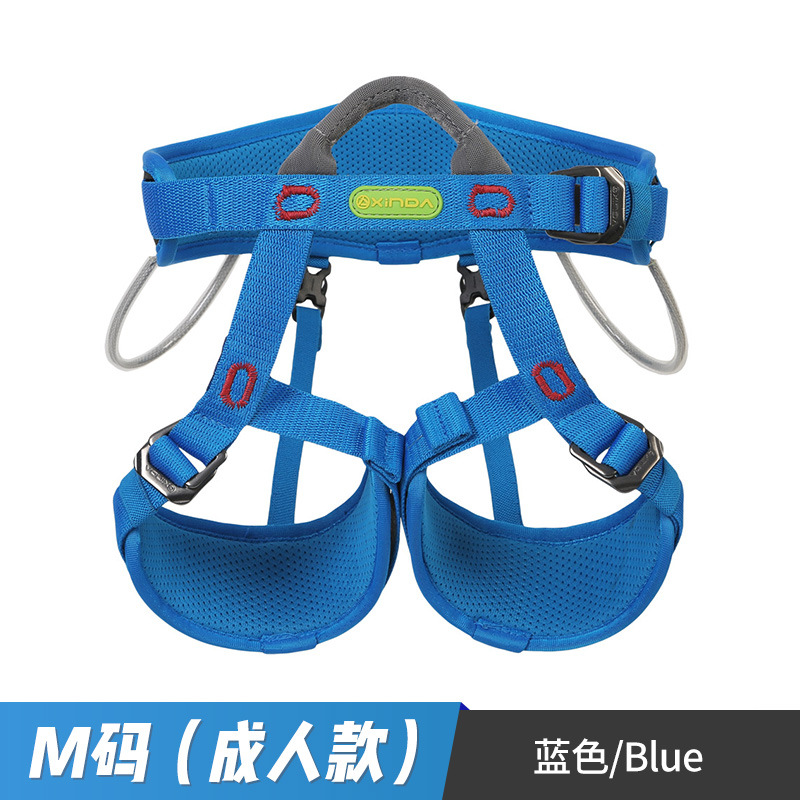 Bleu (Taille M, Adulte)