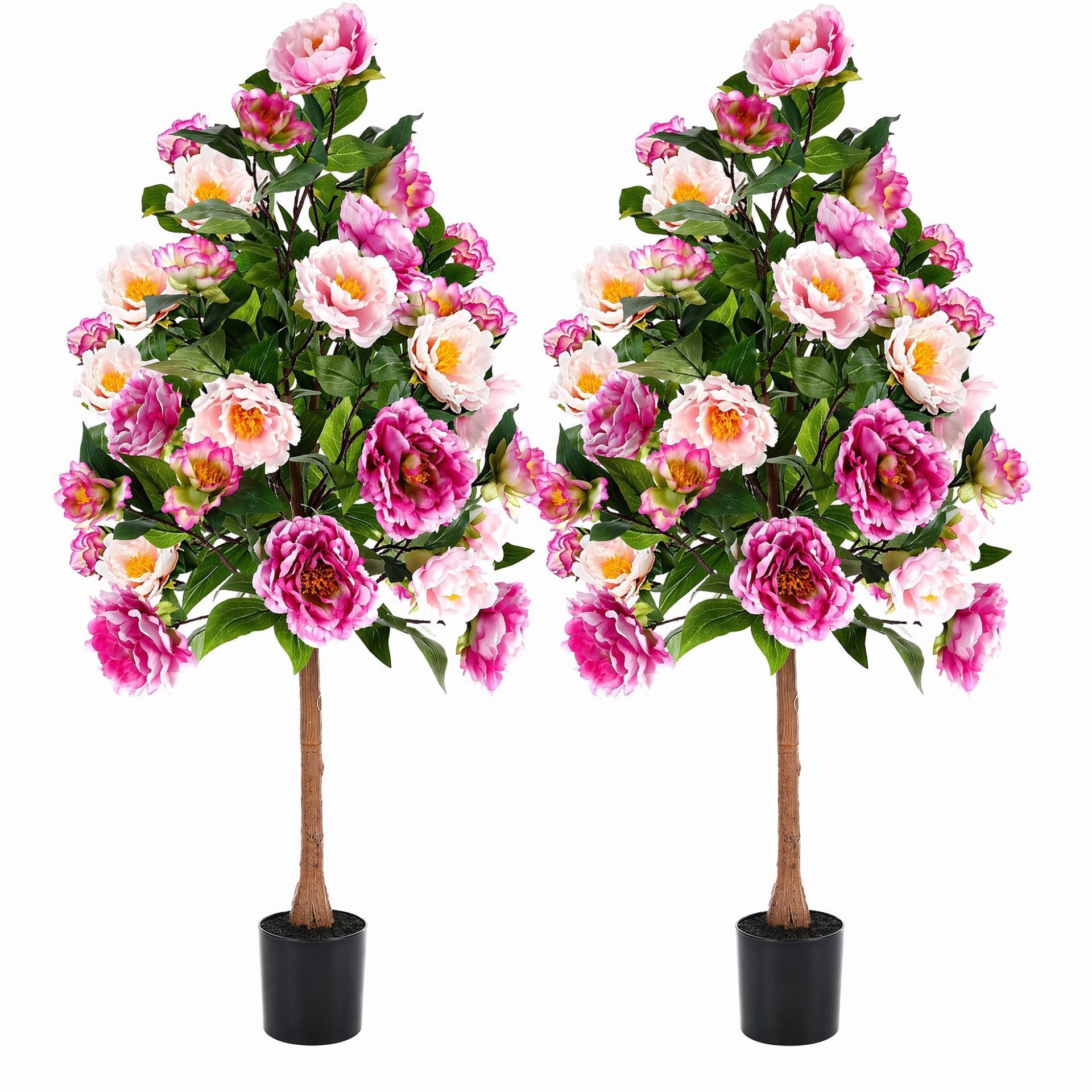 albero di peonia rosa rossa
