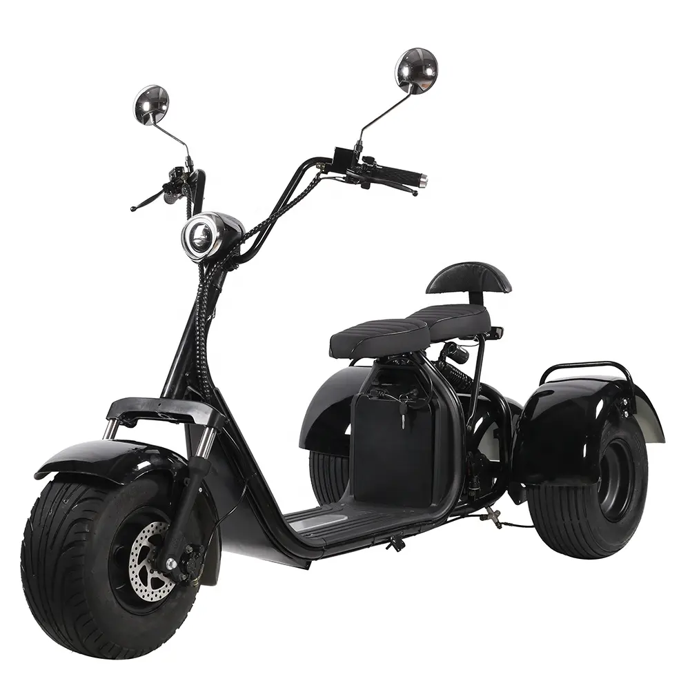 Lingte X310 Big Three Wheels Electric Fat Tire Ciclomotor Scooter 2 Asientos Adultos 60V Motocicleta 1000W 2000W Triciclo eléctrico