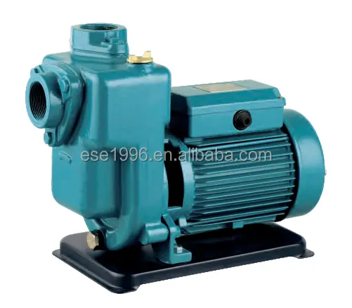 Hot Sale 750w Good quality high flow electric water pump korea for irrigation