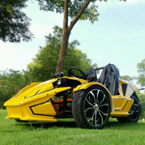 3輪オープン逆三輪車大人用T-Rexレーシング電気電動三輪車EEC認定 - Product Image 5