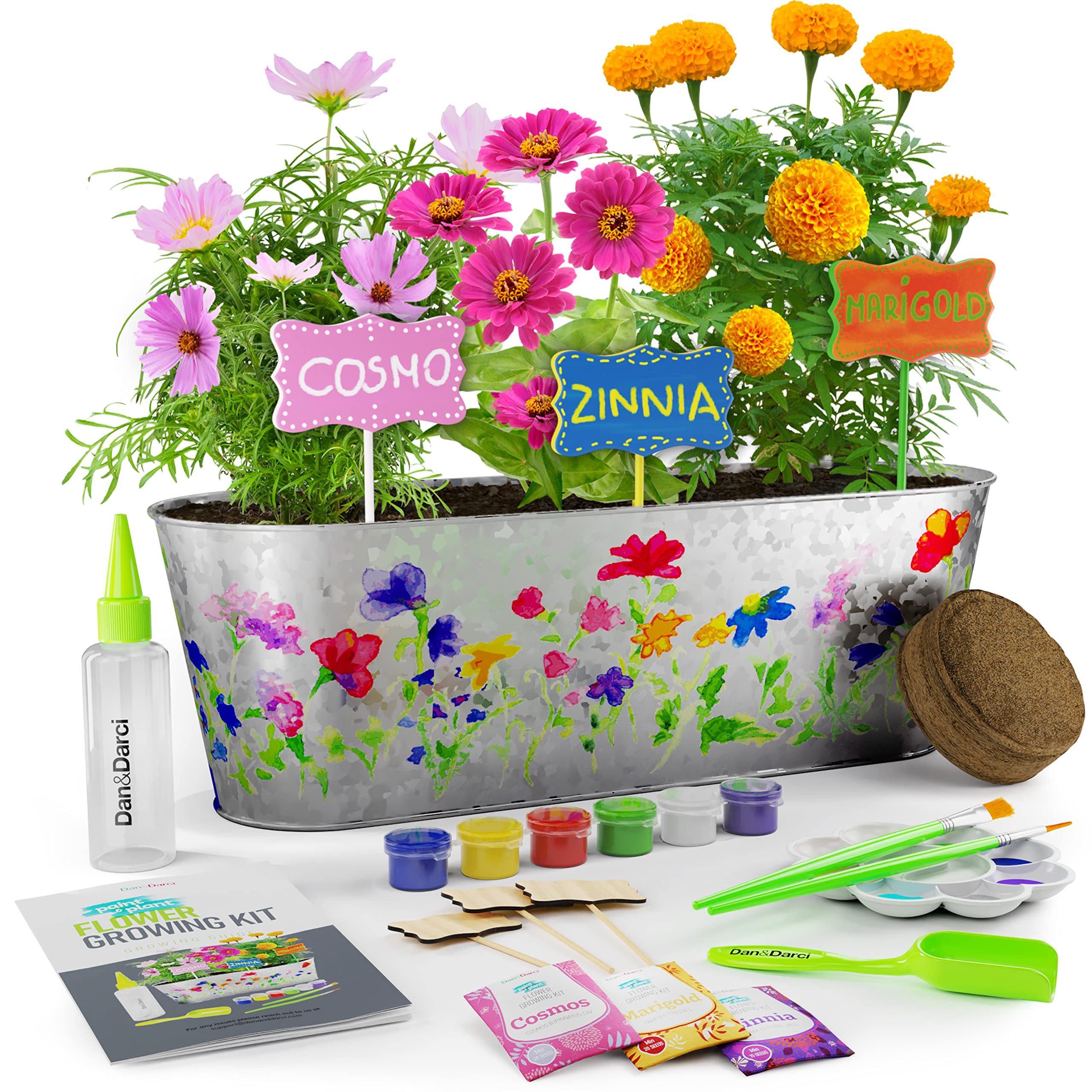 kit de flores